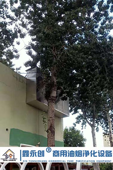 邯郸市邯山区农林小学油烟净化系统设备安装