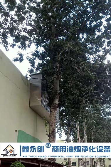 邯郸市邯山区农林小学油烟净化系统设备安装